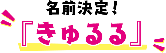 名前決定！「きゅるる」