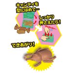 おかしな昆虫キャンディ