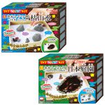 DIY CANDY KIT