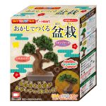 おかしでつくる盆栽
