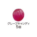 すみっコぐらし小物入れ