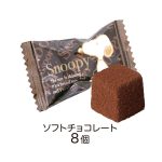 スヌーピープレゼントバッグ