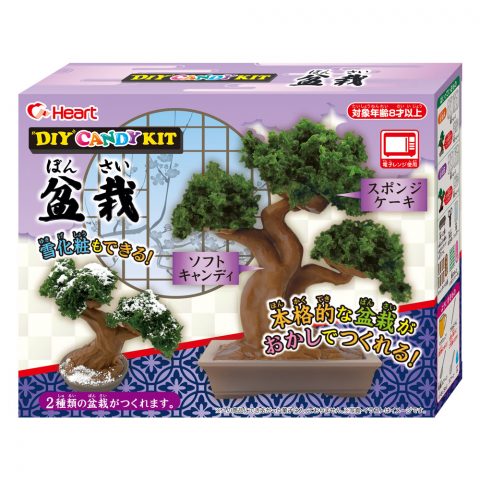 ＤＩＹ　ＣＡＮＤＹ　ＫＩＴ　盆栽
