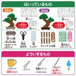 ＤＩＹ　ＣＡＮＤＹ　ＫＩＴ　盆栽