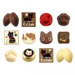 Ｃ．Ｃ．キャッツスペシャルＢＯＸ