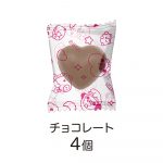 ＢＴ２１ファイルケースチョコ