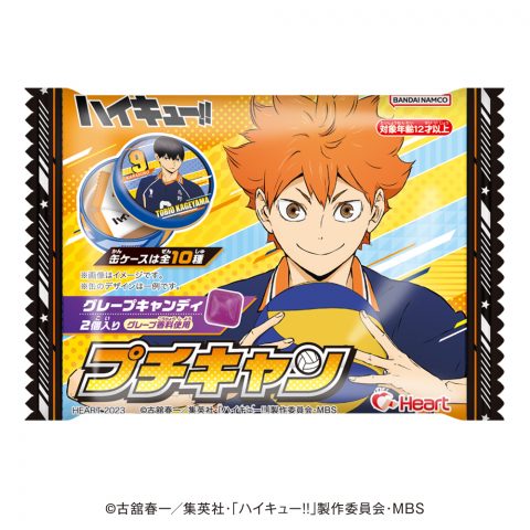 ハイキュー！！　プチキャン