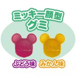 ＨＷグミ５バッグ／ディズニーキャラクター