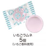 ちいかわミニケース