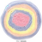 ポケモンコットンキャンディ