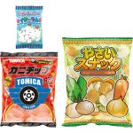 トミカキャリーケース