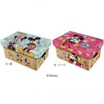 ショコラＢＯＸ／ディズニーキャラクター