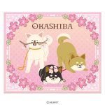 おかしばスイーツギフト