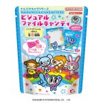 ナルミヤキャラクターズビジュアルファイルキャンディ