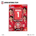 ウェアコレバレーボール日本代表