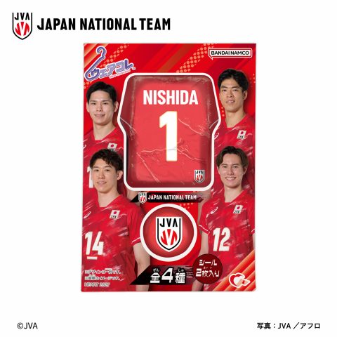 ウェアコレバレーボール日本代表